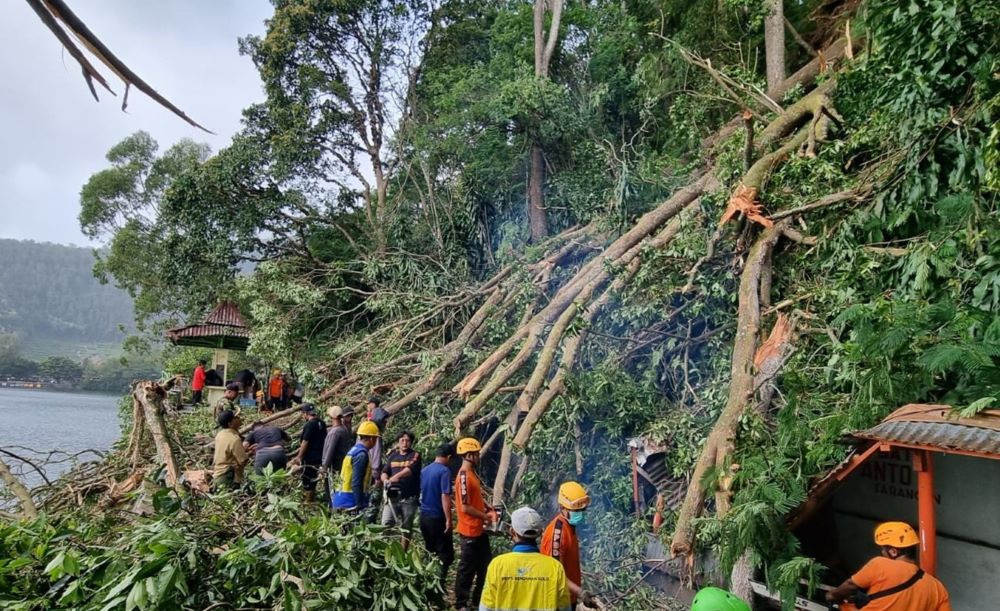 Pohon tumbang akibat diterjang angin kencang menimpa warung di tepi Telaga Saranga, Kabupaten Magetan, Rabu (24/1/2024) pagi. Foto: Pusdalops PB Magetan