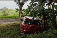 Sebuah mobil terperosok ke selokan di tepi jalan raya Ngawi-Jogorogo, Senin (26/2/2024). Foto:Ist